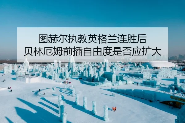 tu-he-er-zhi-jiao-ying-ge-lan-lian-sheng-hou-bei-lin-e-mu-qian-cha-zi-you-du-shi-fou-ying-kuo-da-2-732.jpg
