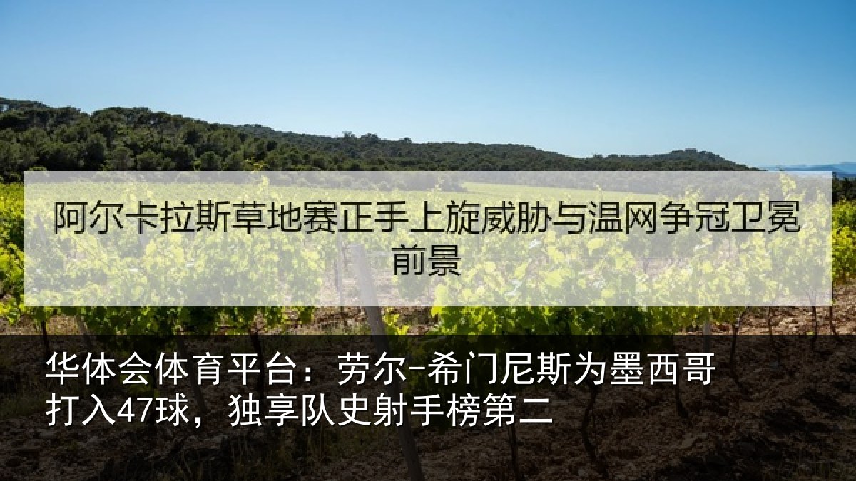 华体会体育平台:劳尔-希门相关情况47球独相关情况