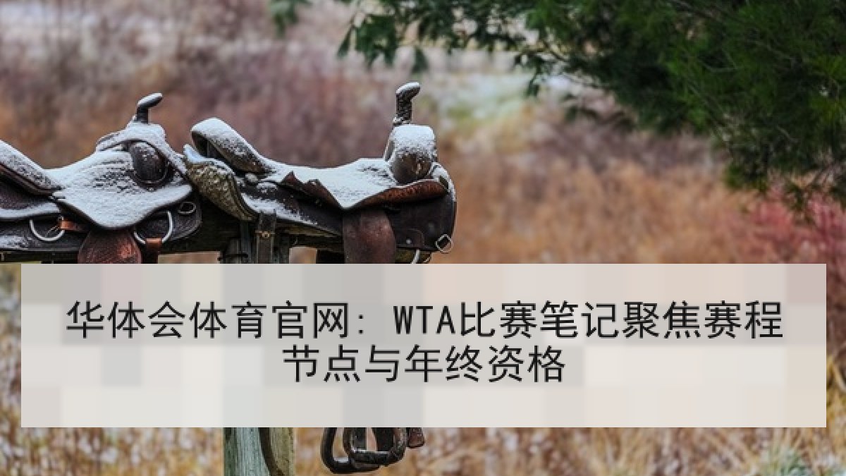 华体会体育官网: WTA比赛笔记聚焦赛程节点与年终资格 华体会体育官网: WTA比赛笔记聚焦赛程节点与年终资格