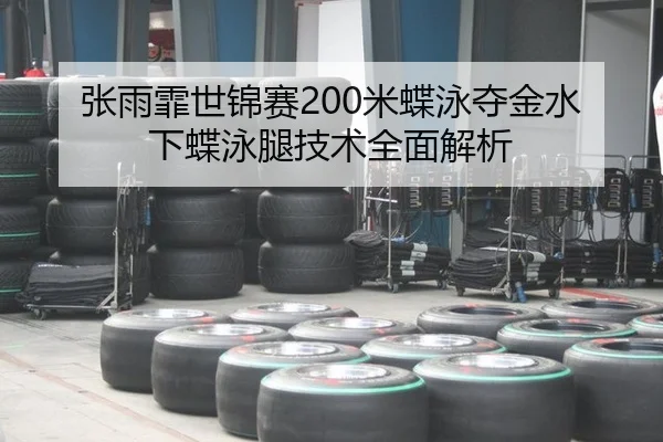 张雨霏世锦赛200米蝶泳夺金水下蝶泳腿技术全面解析